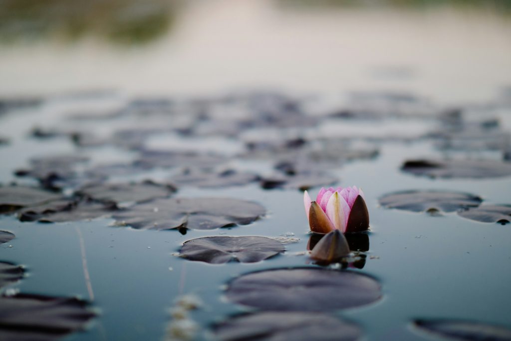 Image mise en avant Hello World